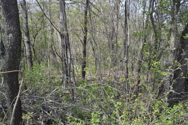 Kendall, WI 54638,0000 Bruce Street