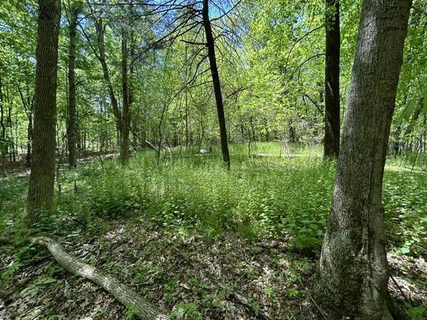 Lot 23 South Badger Lane, Arkdale, WI 54613