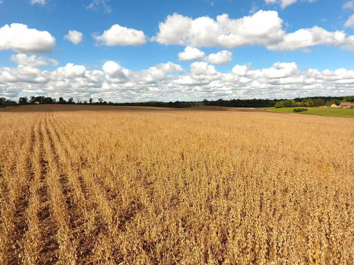 Gays Mills, WI 54631,18.7+/- acres Fleming Road