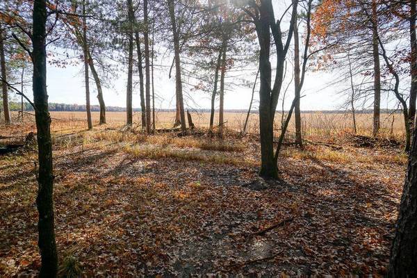 Parcel 15 Lumby, Necedah, WI 54646