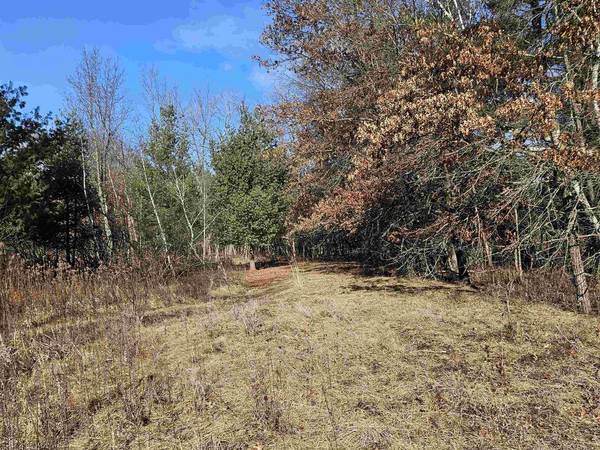 19.54 AC Luedtke Road, La Valle, WI 53941