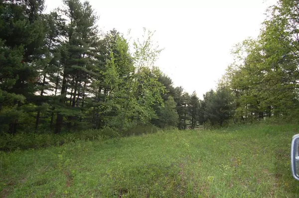 Richland Center, WI 53581,11 Acre Fiddlers Green Road