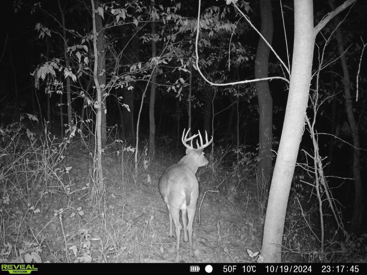 TBD Clark Road, Browntown, WI 53522