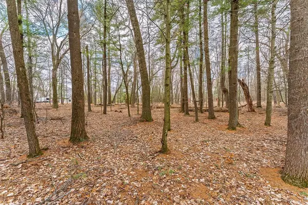 Reedsburg, WI 53959,Lot 19 Buck Bay W