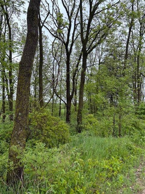 0 Boyle, Soldiers Grove, WI 54655