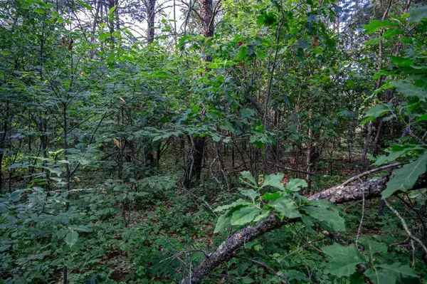 Lot 188 Mallard Drive, New Lisbon, WI 53950