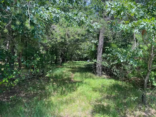 L64 S Cypress Drive, Arkdale, WI 54613