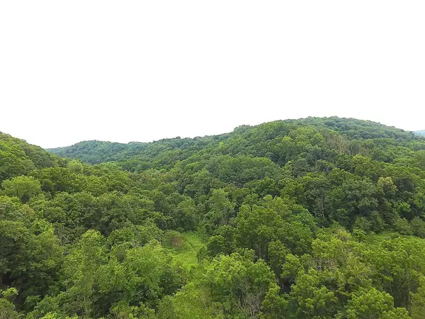 Gays Mills, WI 54631,37.5 +/- acres South Sleepy Hollow Road