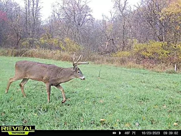 Gays Mills, WI 54631,37.5 +/- acres South Sleepy Hollow Road