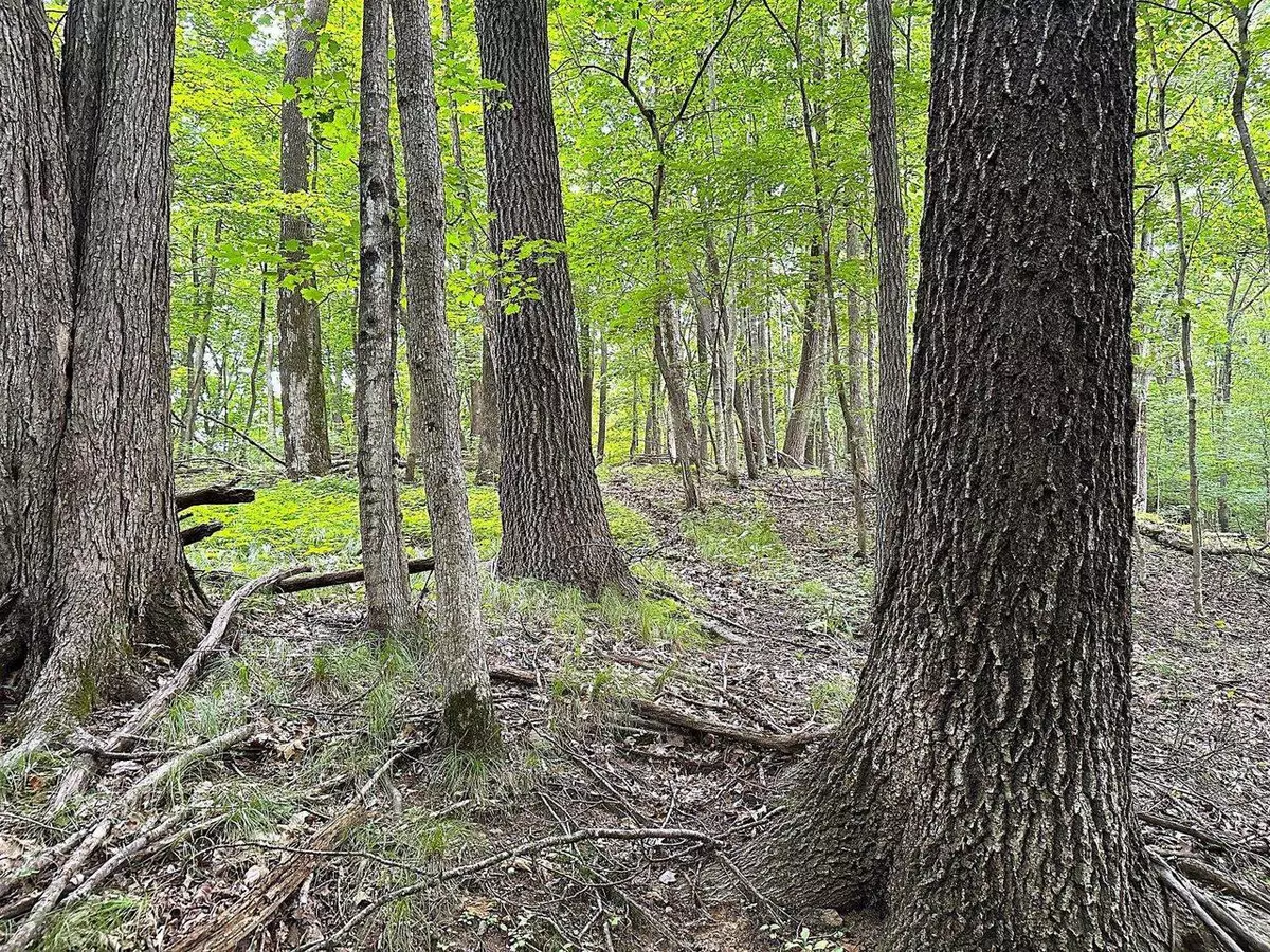 Gays Mills, WI 54631,37.5 +/- acres South Sleepy Hollow Road