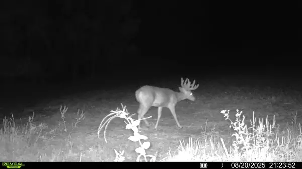 Gays Mills, WI 54631,43803 Happy Place Lane