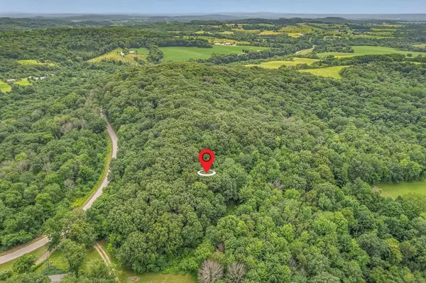 Reedsburg, WI 53959,16 Acres Hirst Road