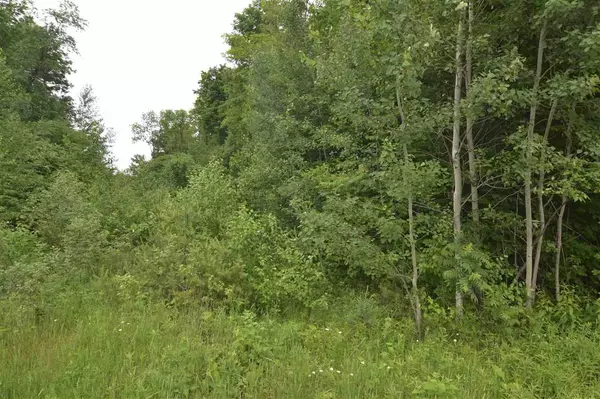 Weston, WI 54476,WESTON AVENUE #56.46 Acres M-O-L