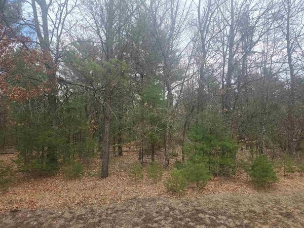 Lot 19 OAKBURY DRIVE #Parcel 0704637, Wisconsin Rapids, WI 54494