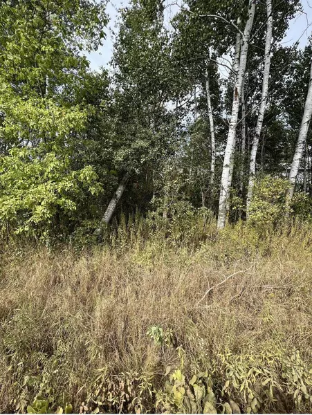 Lot One KRAUS STREET, Marshfield, WI 54449