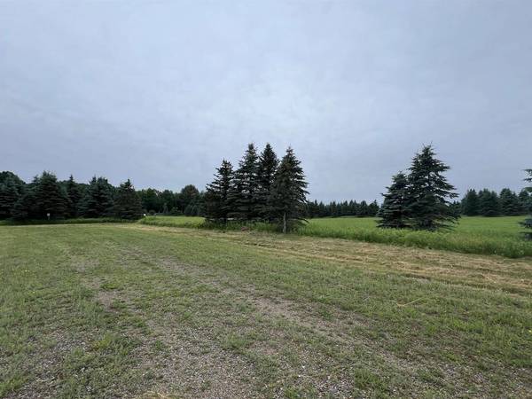 Lot 9 SUE ALAN DRIVE, Wittenberg, WI 54499