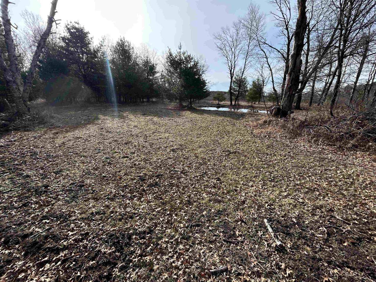 STATE HIGHWAY 153 EAST, WI 54440