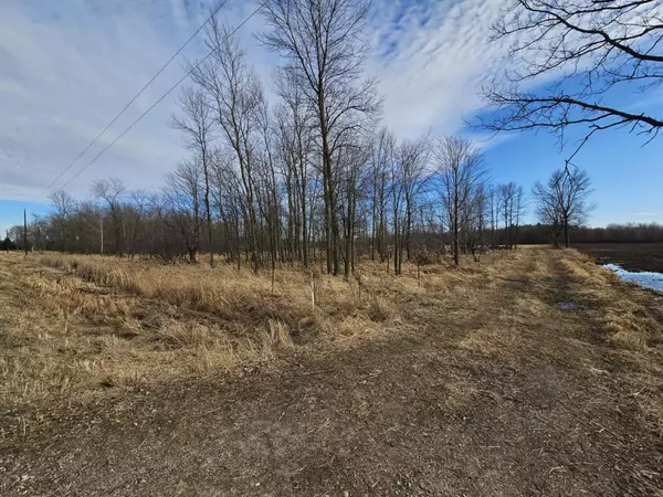 20 Acre Lot KLONDIKE DRIVE, Marshfield, WI 54449