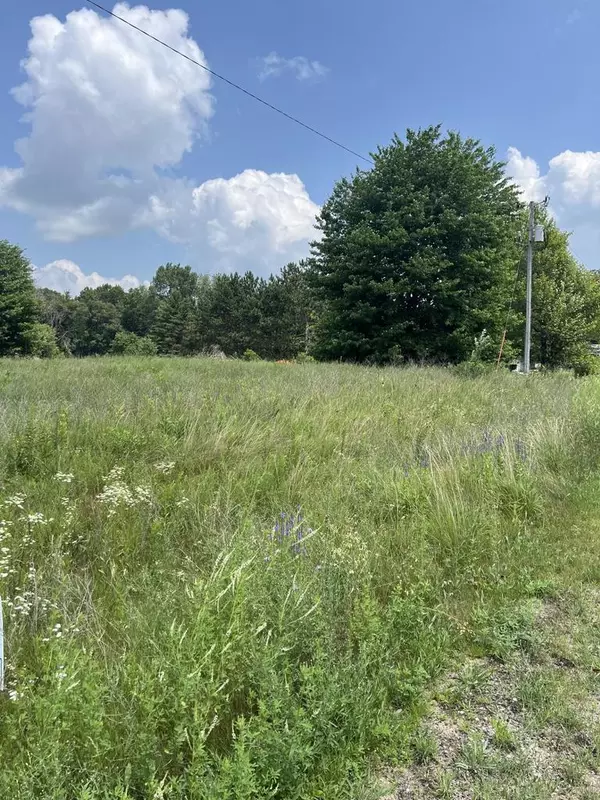 Lots 28 and 29 ROBERTS COURT #Nelson Street, Amherst Junction, WI 54407