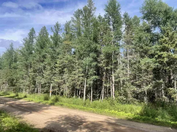 Tomahawk, WI 54487,SWAMP ROAD