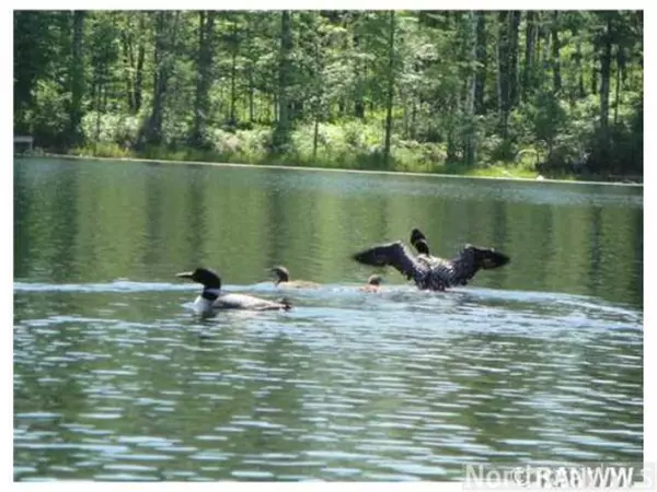 Lot 1-5 Barker Lake Rd, Winter, WI 54896