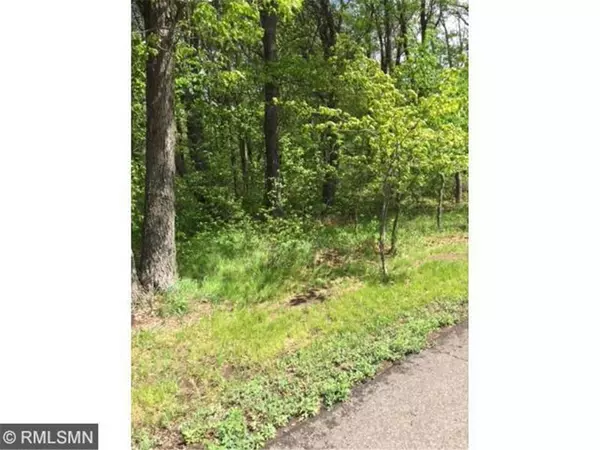 4632 N Tower Rd, Winter, WI 54896