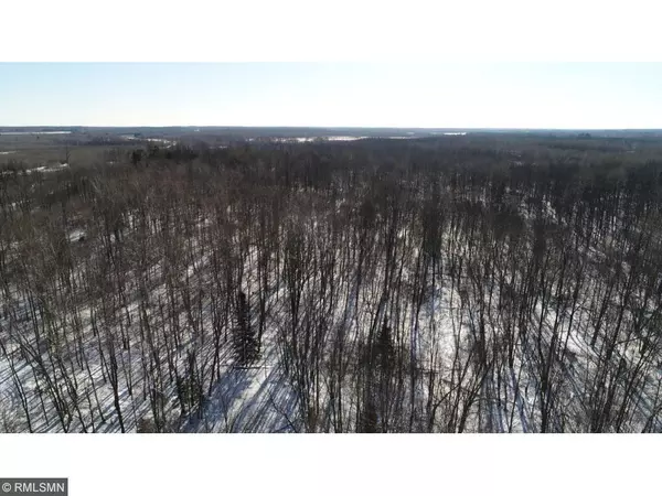 56858 Park Hills Rd, Bruno, MN 55712