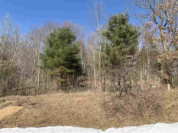 Shawano, WI 54166,LIME RIDGE ROAD