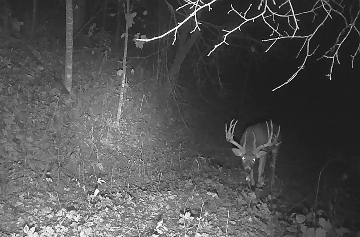 Gays Mills, WI 54631,20489 HALLS BRANCH ROAD