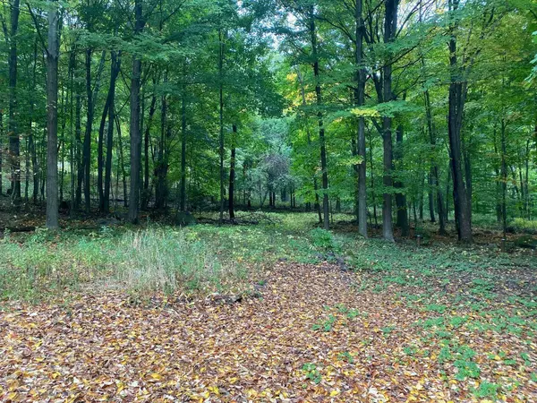 Marion, WI 54950,W11676 ANGLE ROAD