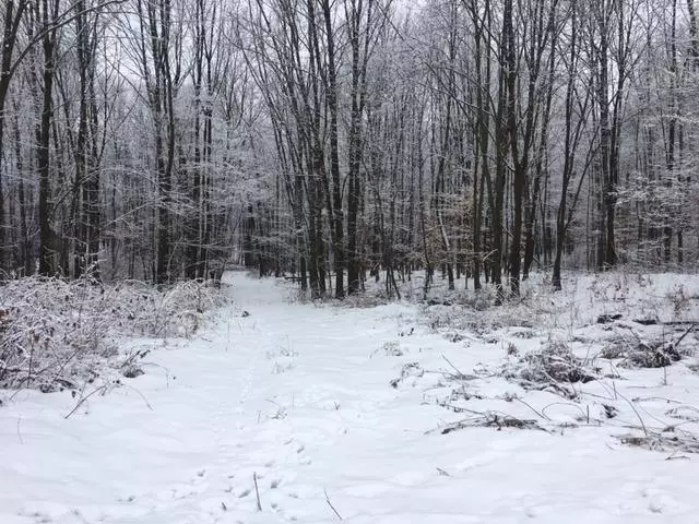 Marion, WI 54950,HWY C