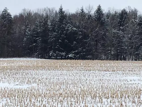 Marion, WI 54950,HWY C