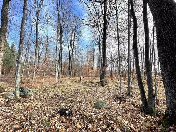 LIMBERG LANE, Silver Cliff, WI 54104