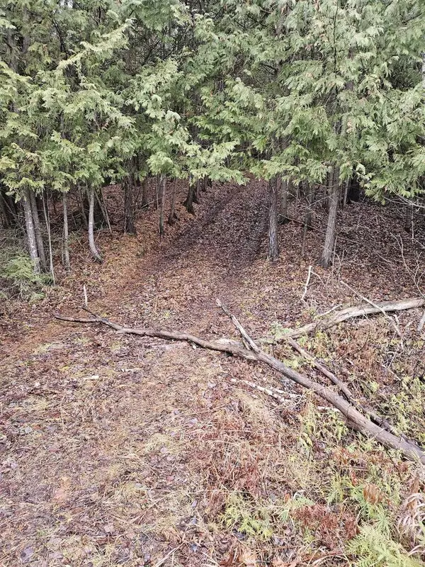 COUNTY ROAD 374, Carney, MI 49812
