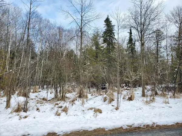 Kewaunee, WI 54216,MEADOW ROAD