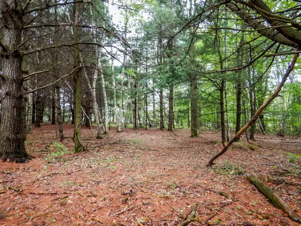 Little Suamico, WI 54141,1856 CAREFUL LANE