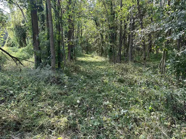 Bear Creek, WI 54922,RIVER ROAD