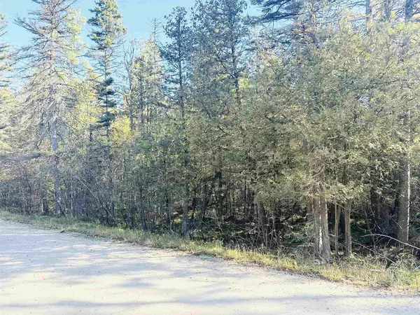 Stephenson, MI 49858,KOSS ROAD