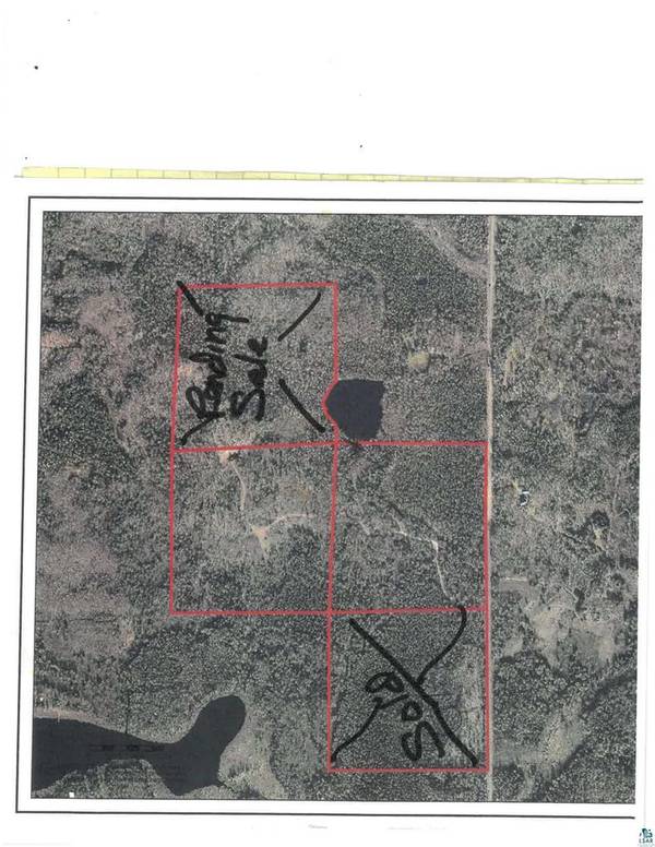 80 acres County Rd L, Hawthorne, WI 54874