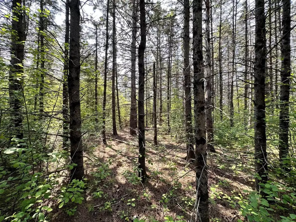 Ashland, WI 54806,xxx 17th Ave E