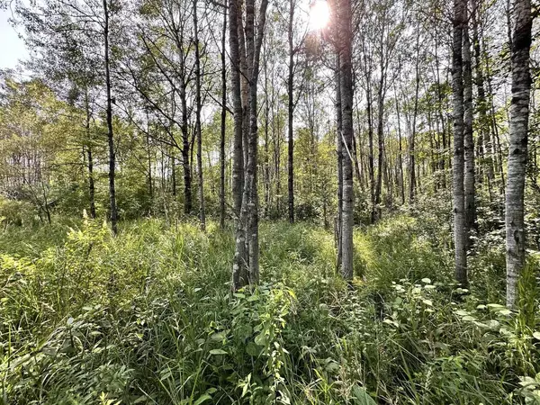 Gingles, WI 54806,63xxx Hegstrom Rd