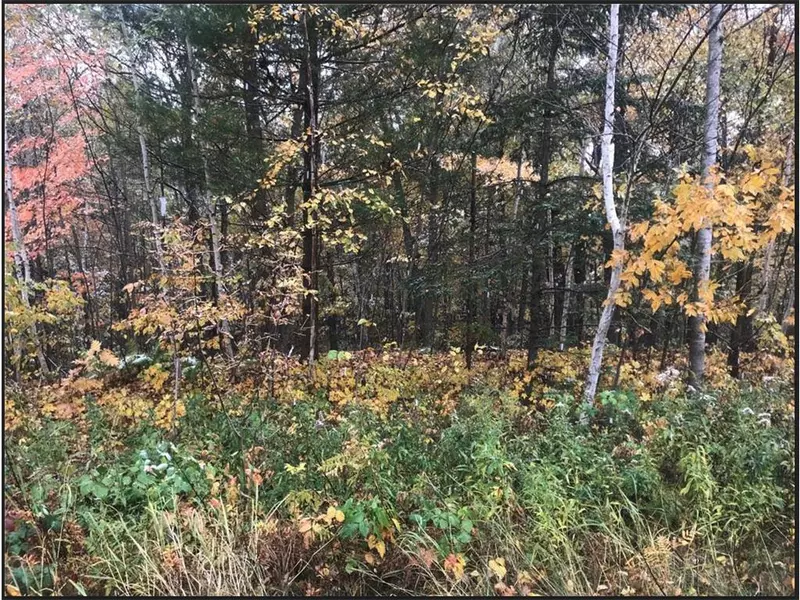 Lot 113 162nd Avenue, Balsam Lake, WI 54810