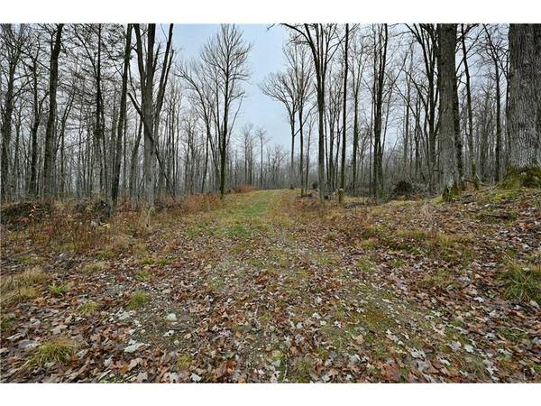 29.19 Acres County Highway C, Exeland, WI 54835