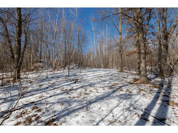 Lot 12 133rd Street, Amery, WI 54001