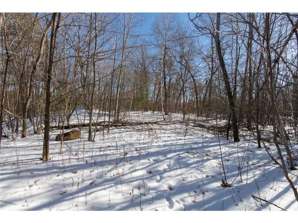 Lot 17 133rd Street, Amery, WI 54001