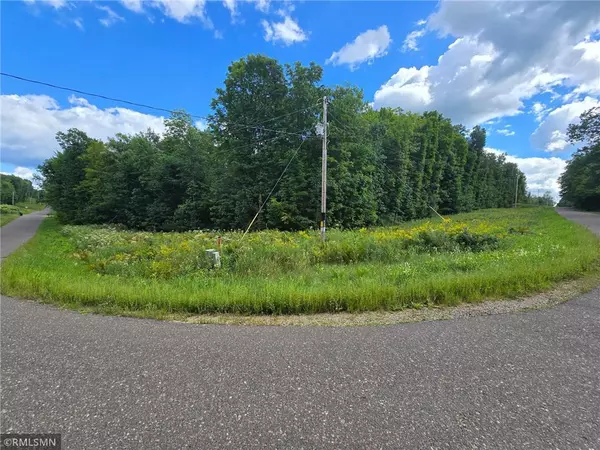TBD 162nd Street, Amery, WI 54001