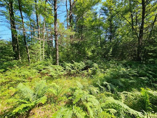 XXX Potter Road, Black River Falls, WI 54615