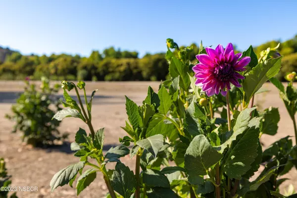 Solvang, CA 93463,1180 Alamo Pintado Road