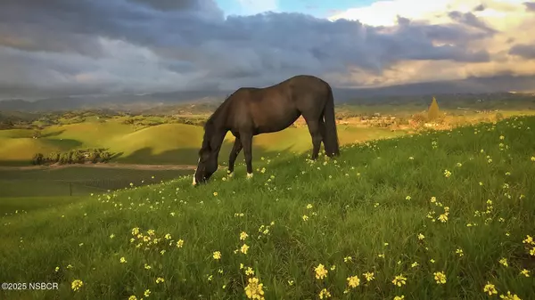 Los Olivos, CA 93441,2852 Tapadero Road