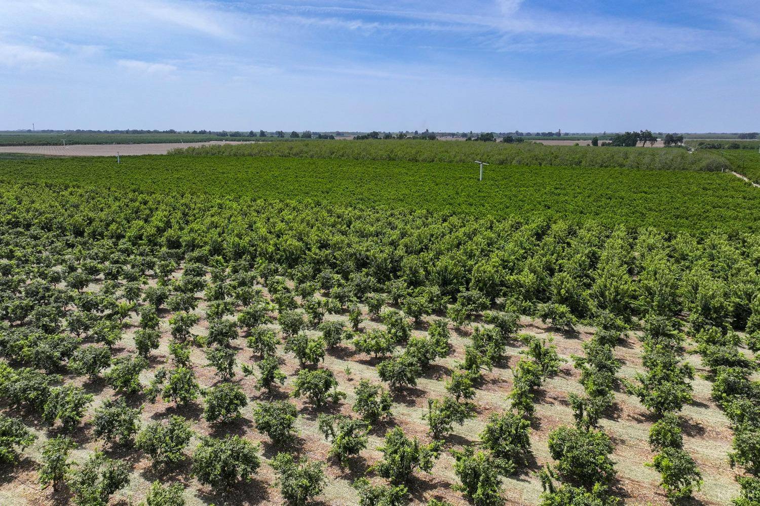 Exeter, CA 93221,0 Road 176